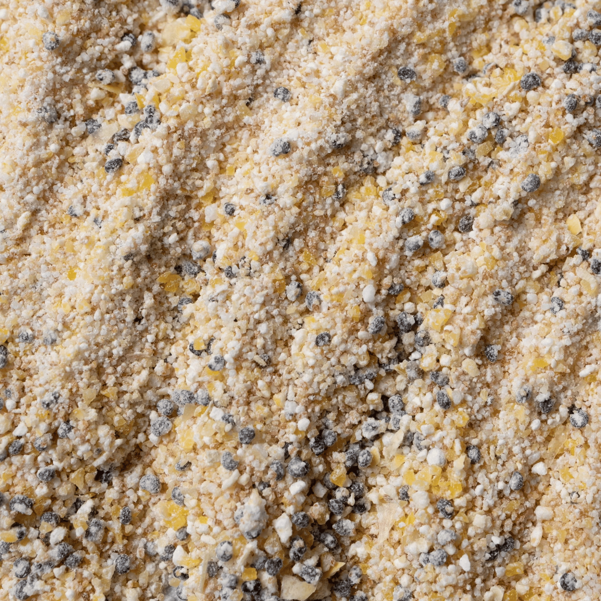 Close up of Cosmedix Purity Scrub texture