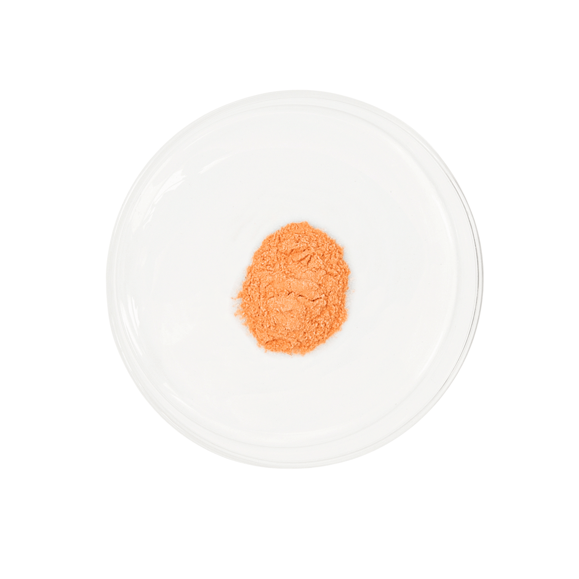 Vida Glow Anti-G Ox berry powder in a petri dish on a white background
