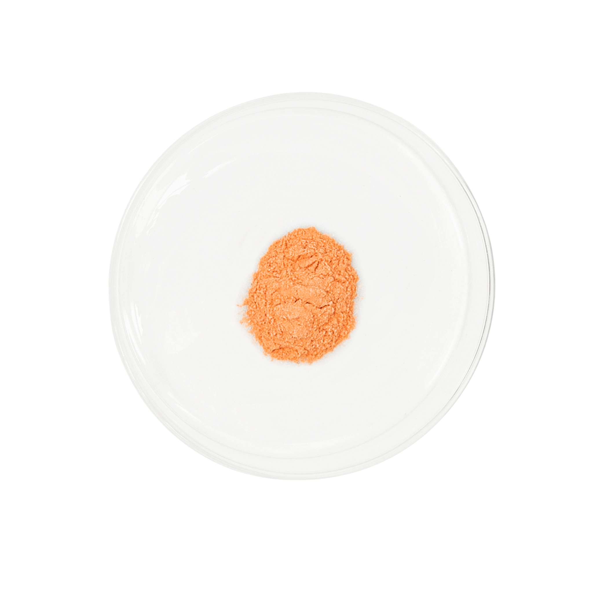 Vida Glow Anti-G Ox berry powder in a petri dish on a white background